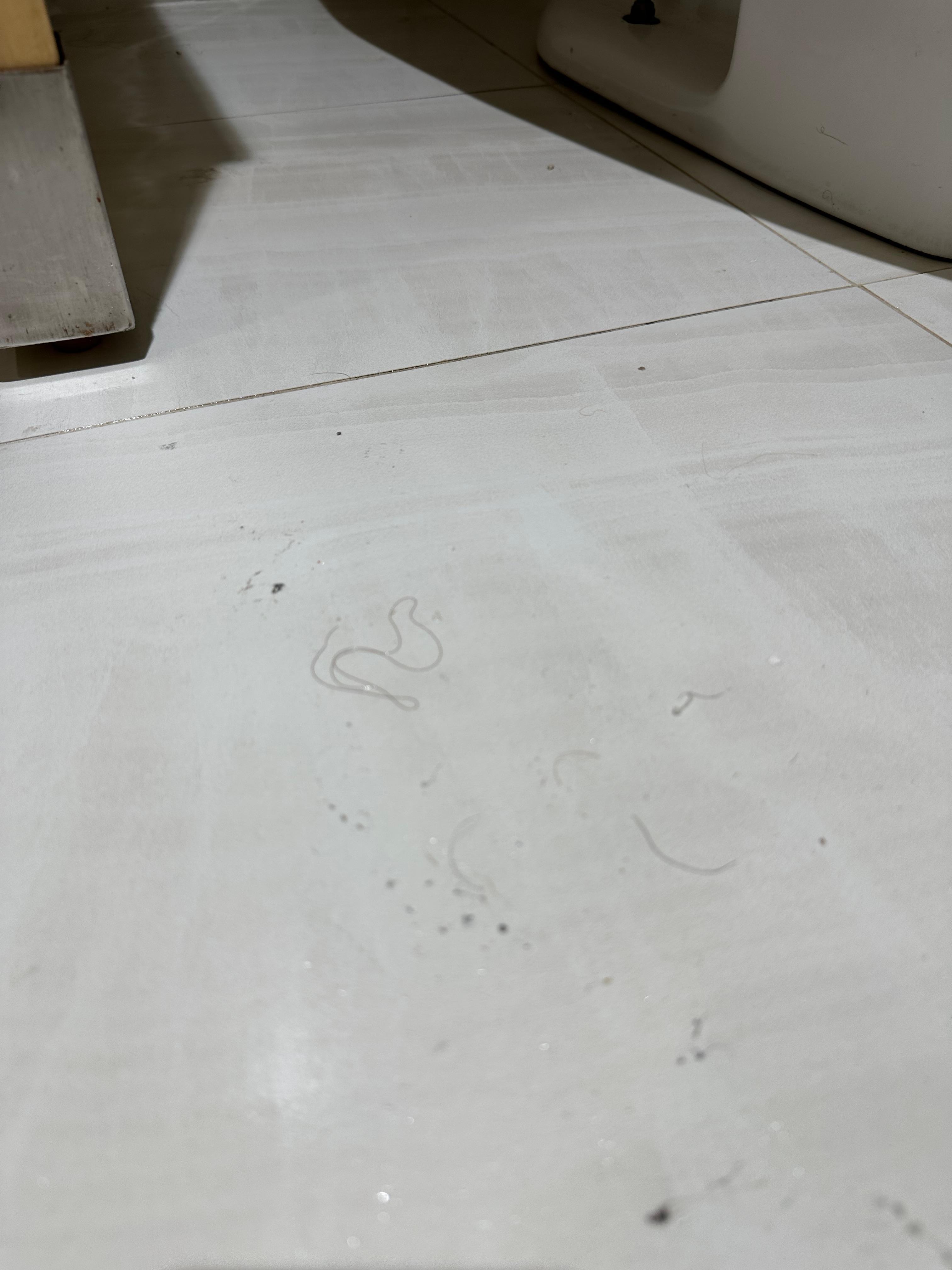 Hair on floor behind toilet 