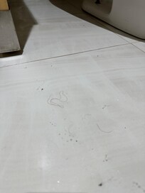 Hair on floor behind toilet