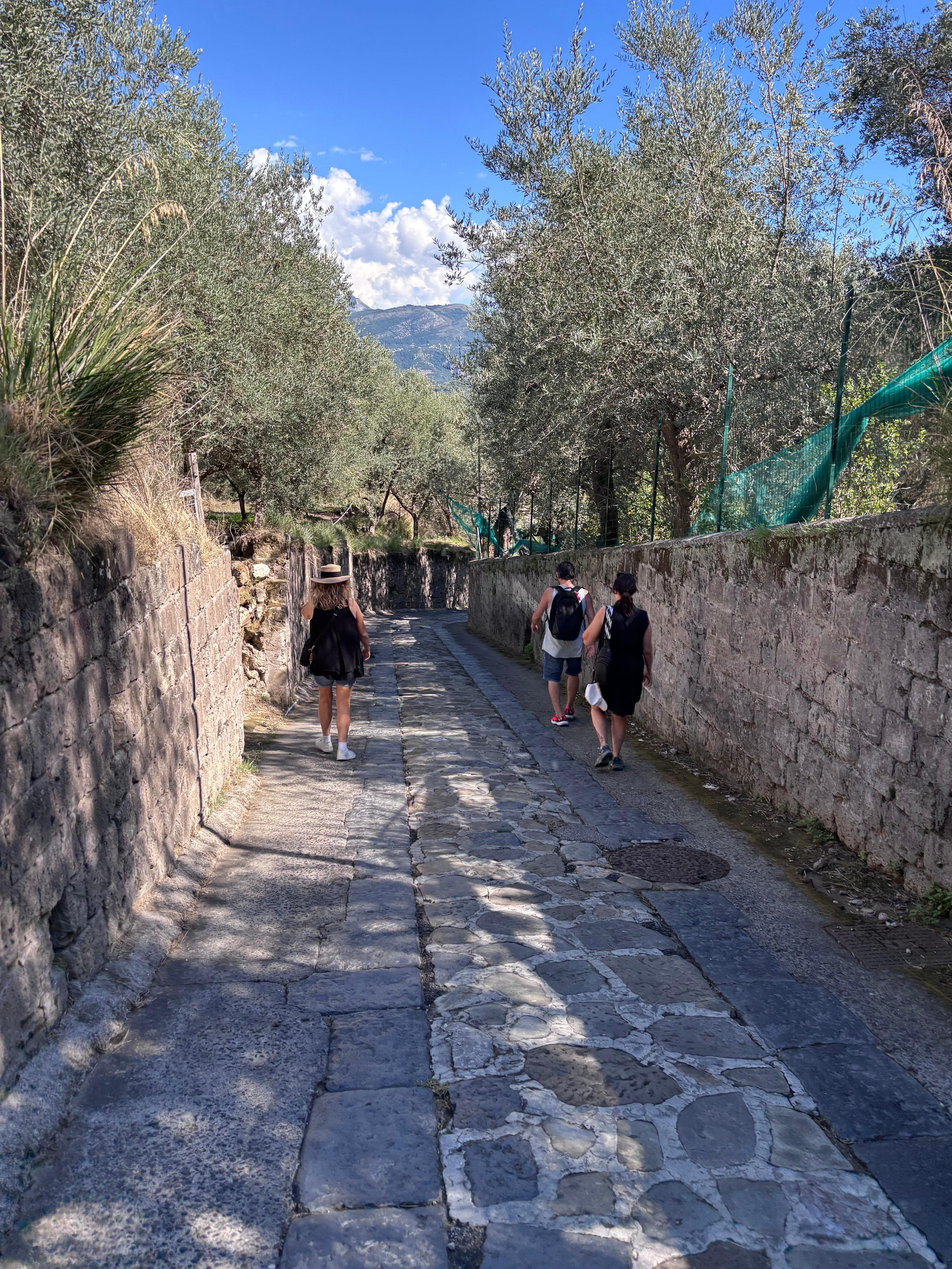 On our walk into Sorrento 