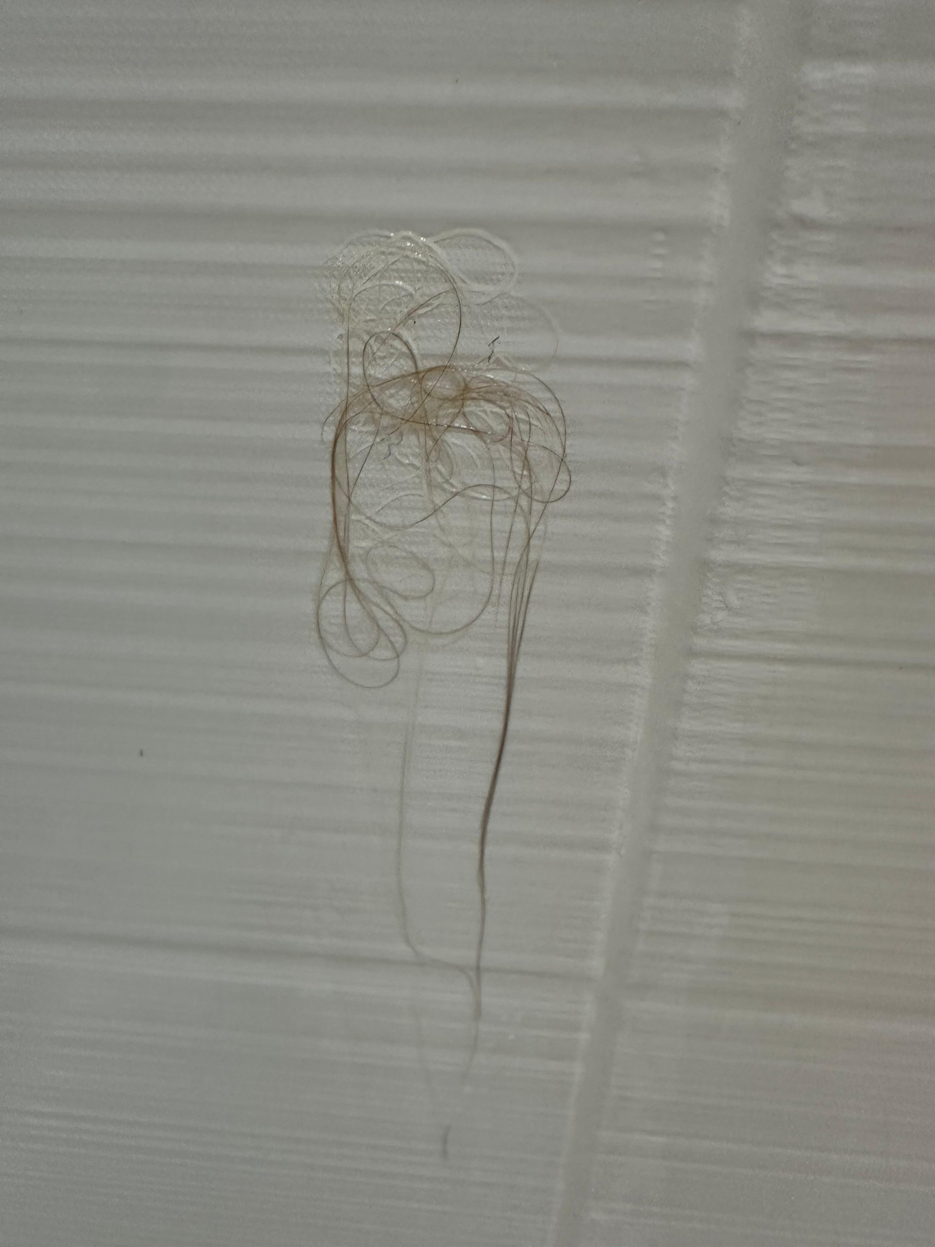 Clump of hair found in shower day one. Entire shower was wet upon checking which one would think had just been cleaned!