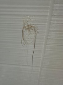 Clump of hair found in shower day one. Entire shower was wet upon checking which one would think had just been cleaned!