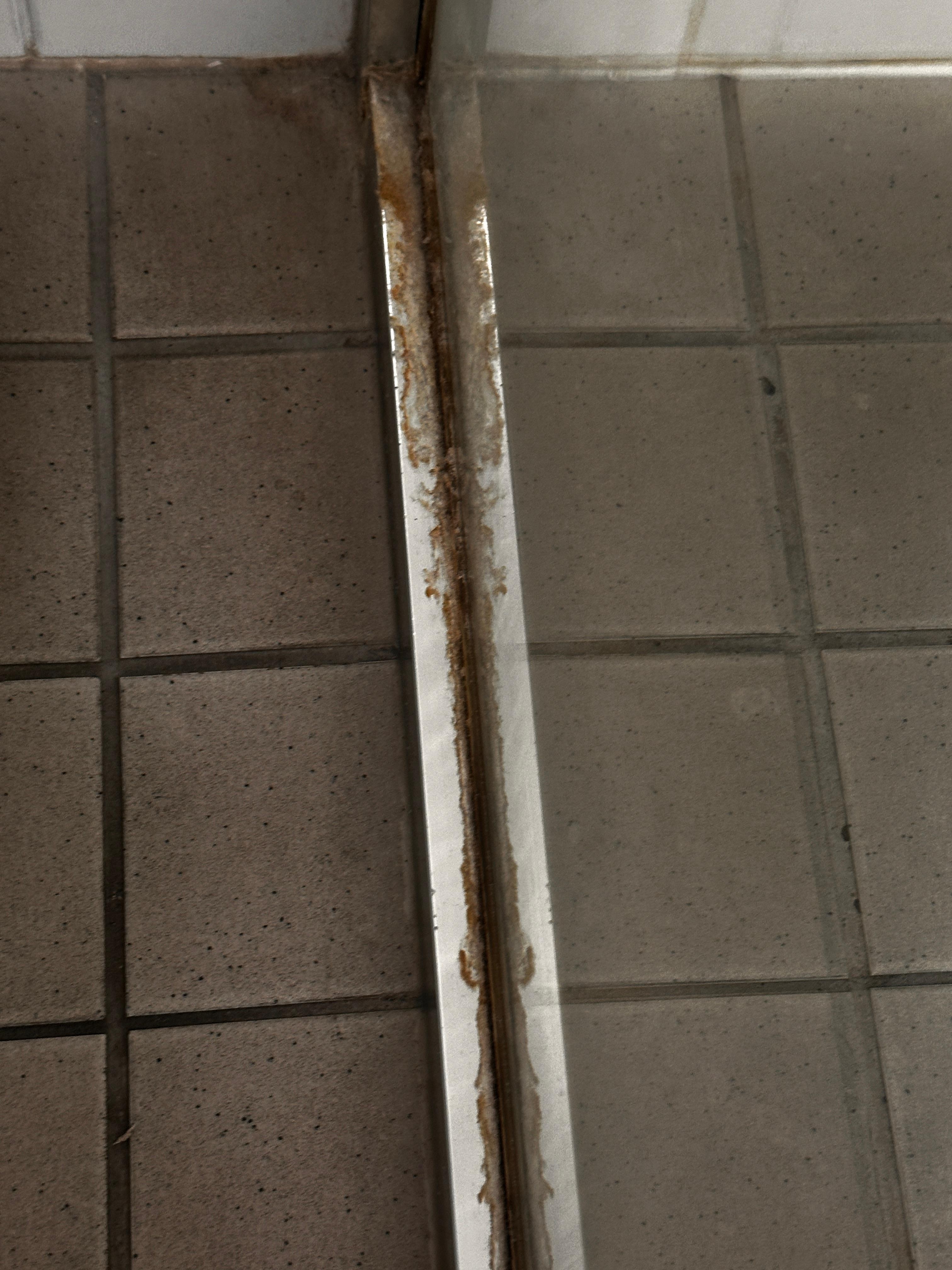 Body fluids on shower screen next to toilet