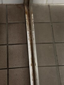 Body fluids on shower screen next to toilet