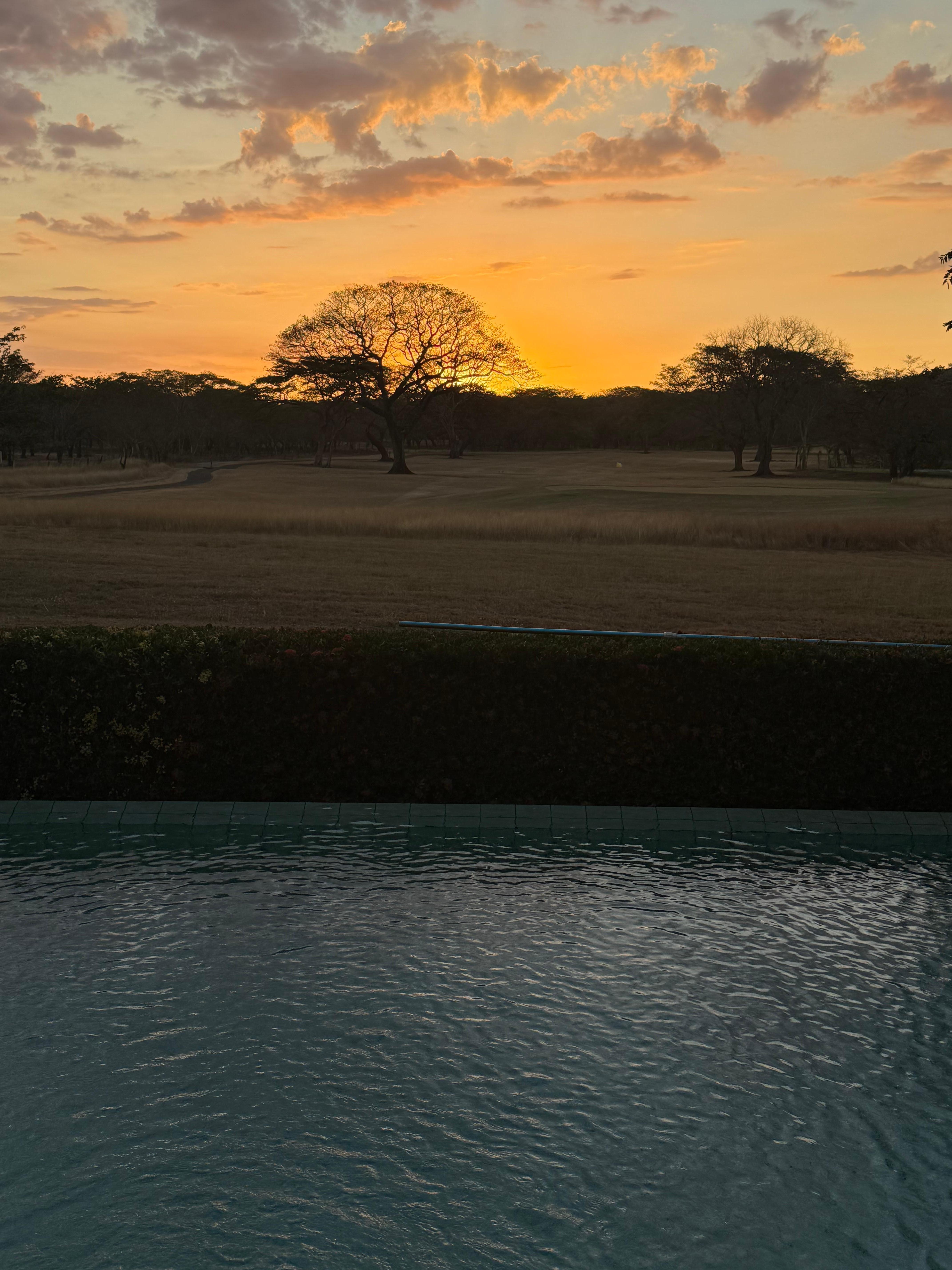 Sunset from the pool