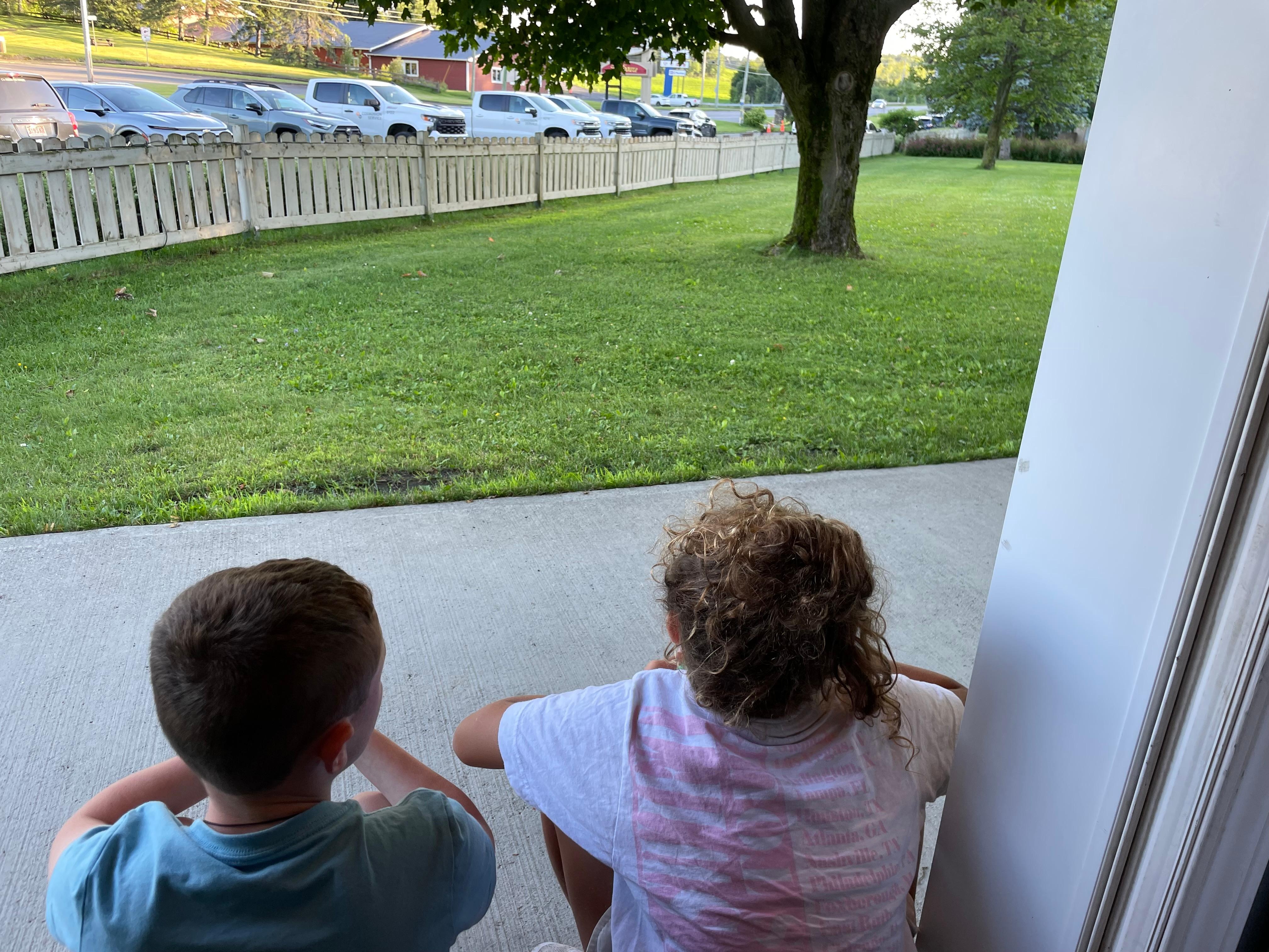 Watching the chickens 