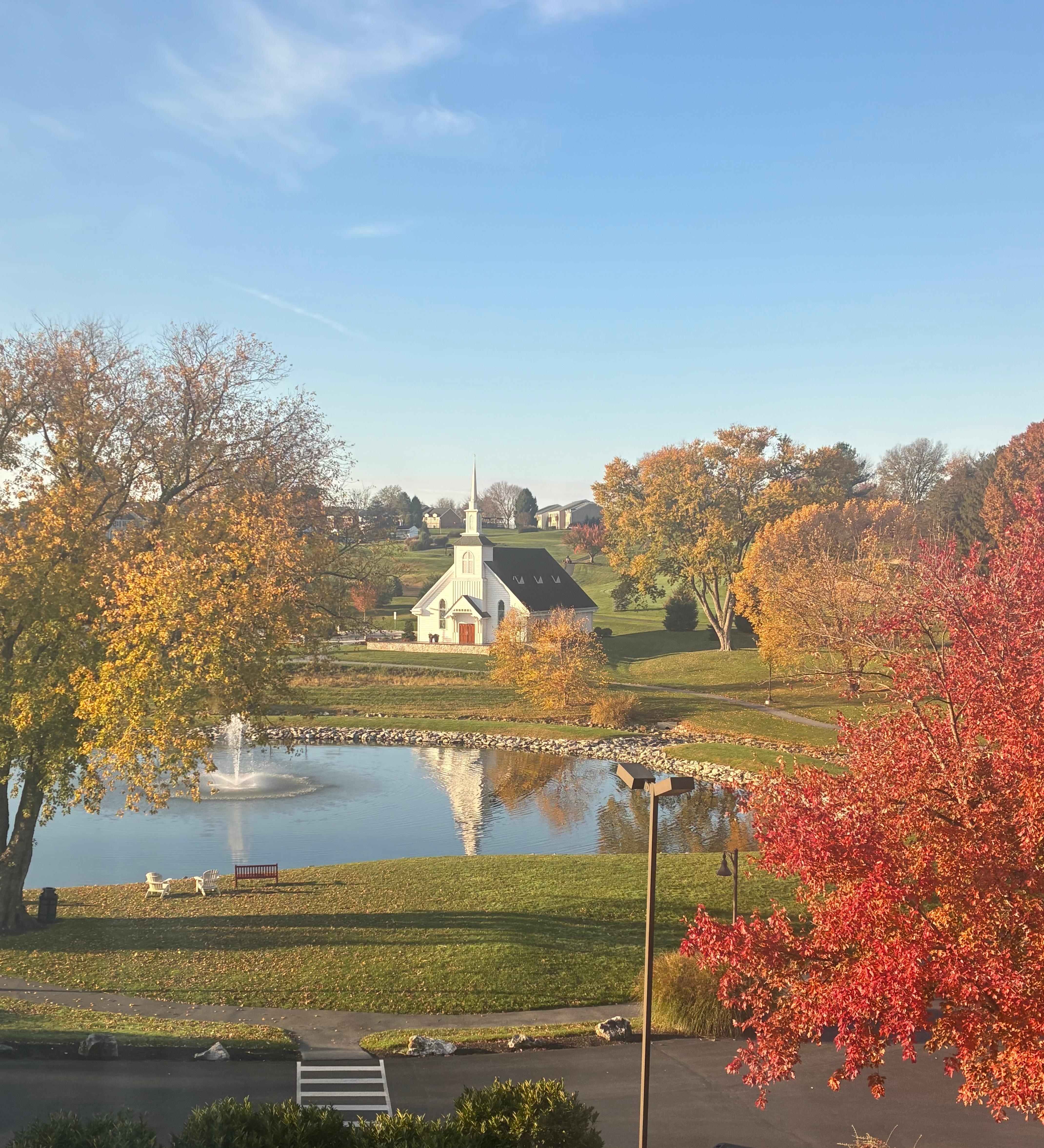 View from our window