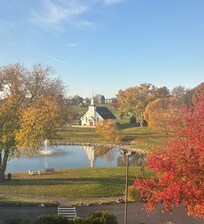 View from our window