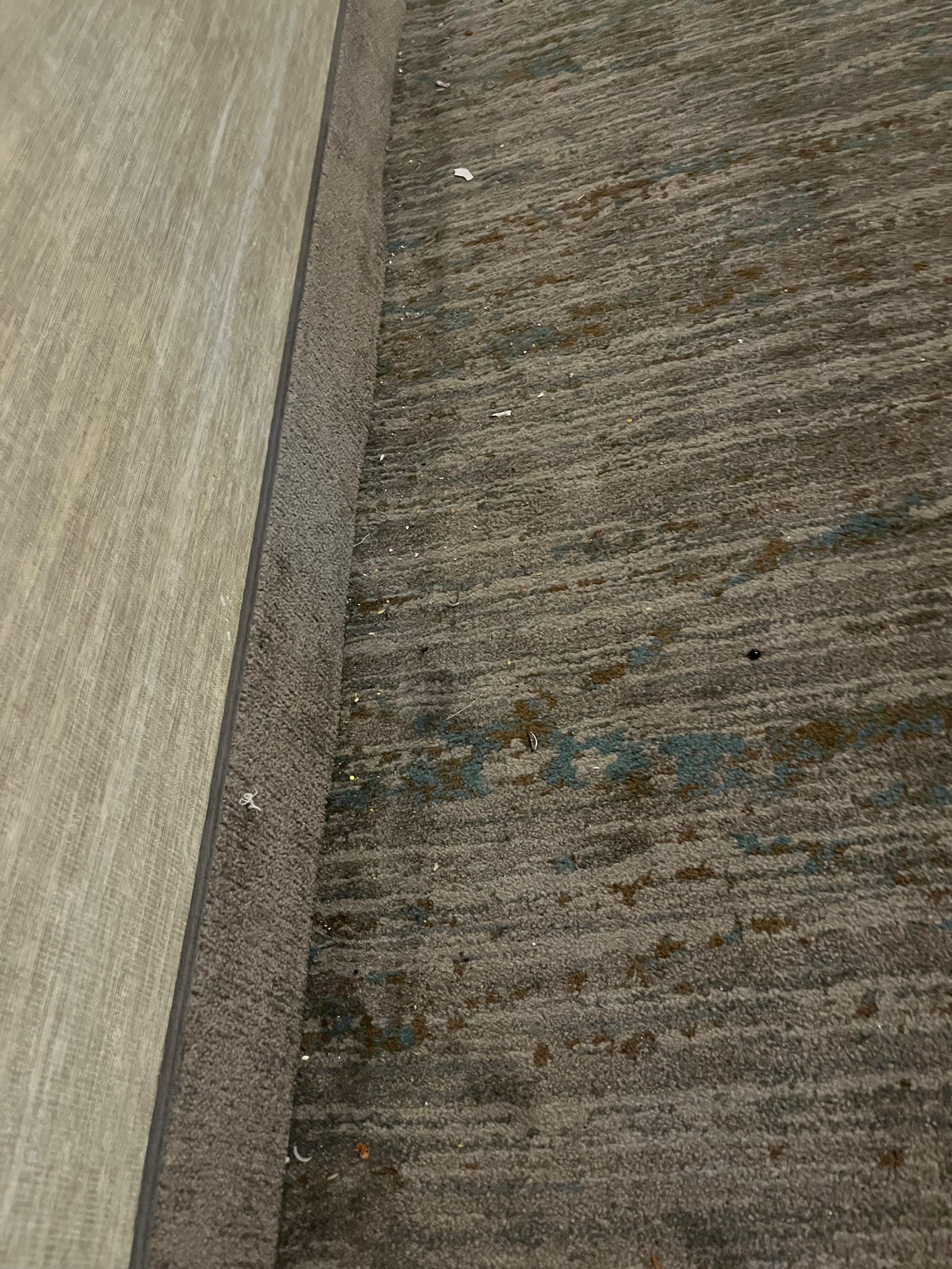 The ENTIRE hallway looked like this. Every hallway we walked. None of the carpets have seen a vacuum or carpet cleaner ever. 