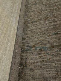 The ENTIRE hallway looked like this. Every hallway we walked. None of the carpets have seen a vacuum or carpet cleaner ever.