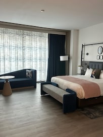 Spacious Premier King room