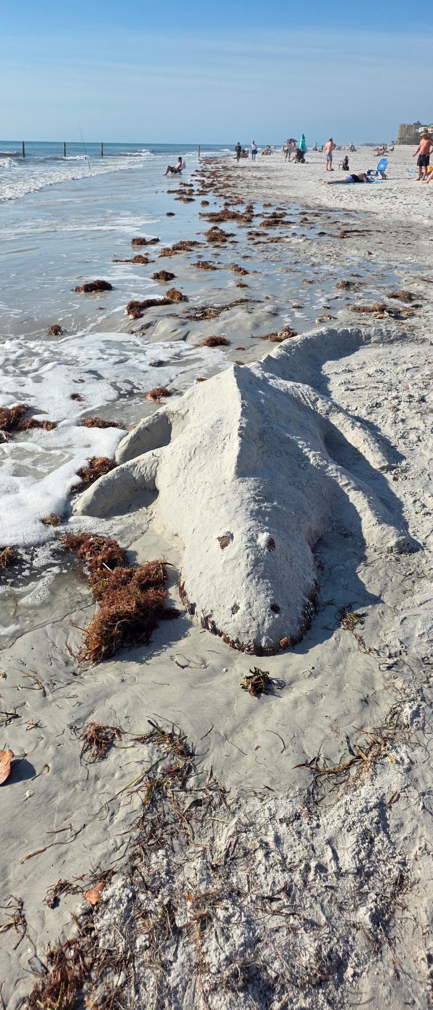 You can’t stay on the beach and not make a sand creature 