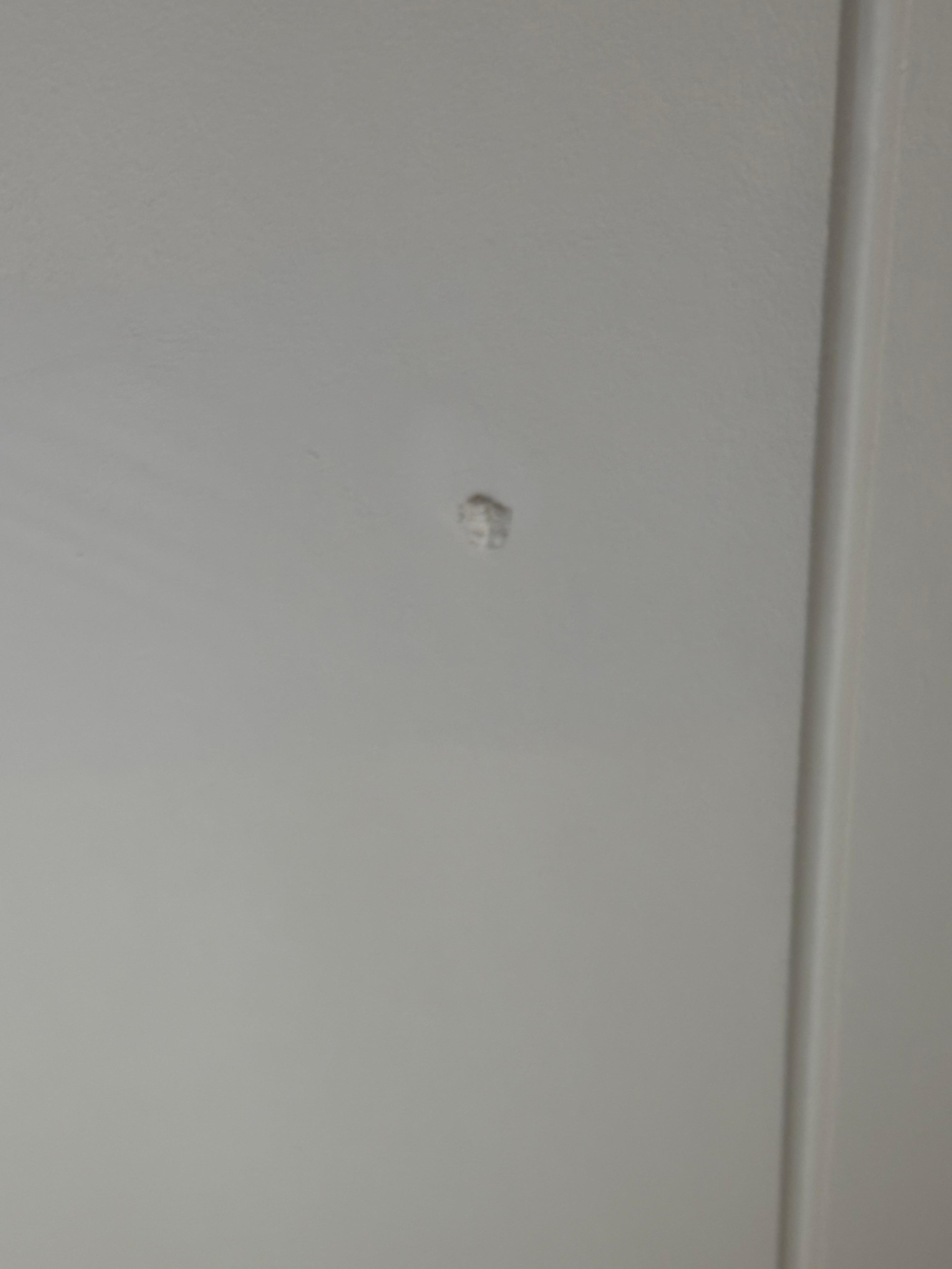 Vand der drypper fra lofter 