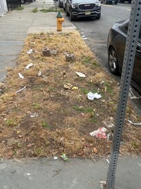 this was some of the trash, I didn’t take pictures of the dog poop