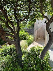 Douche extérieure maisonnette