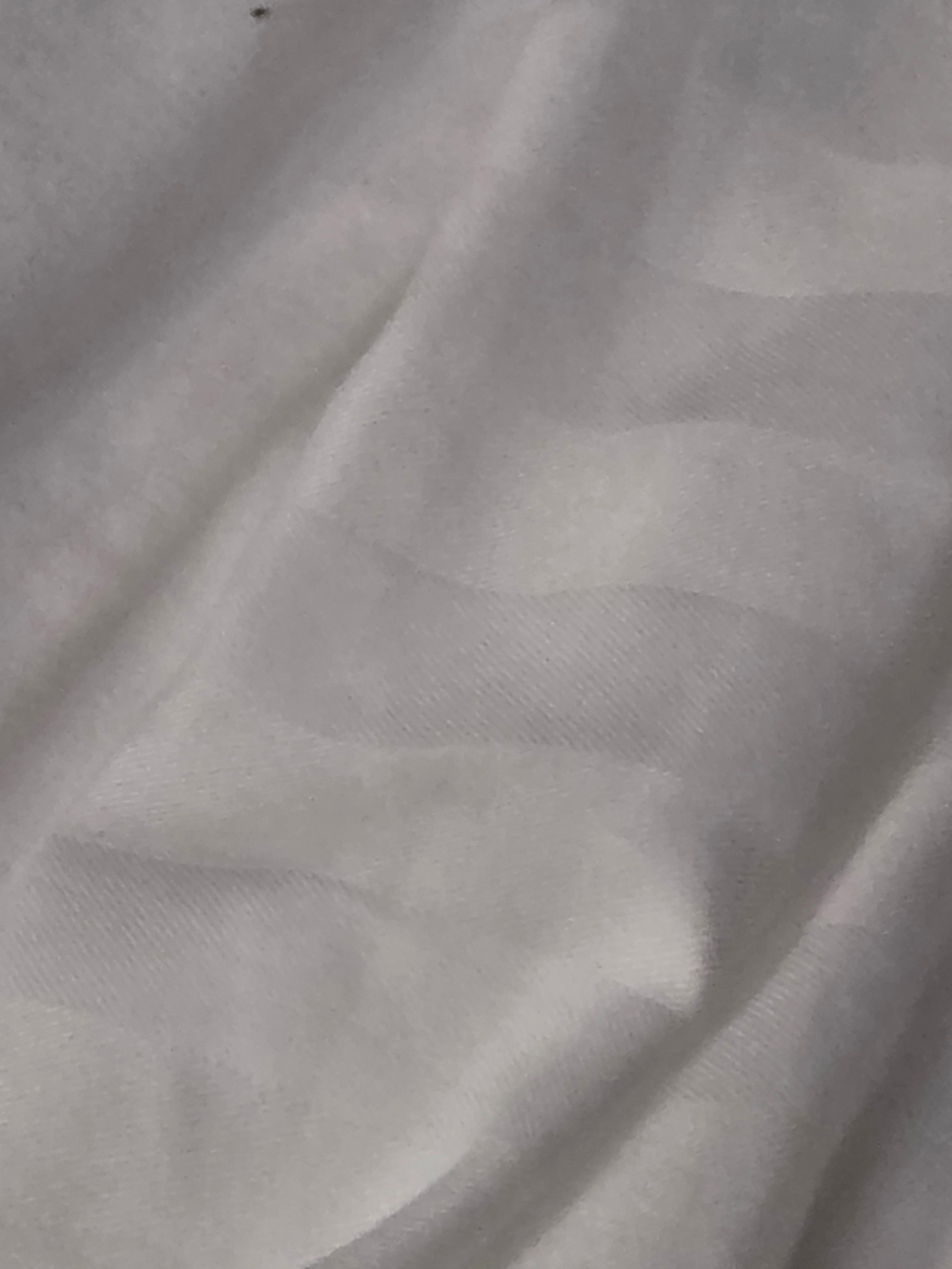 Small bed bugs underneath and onto of both queen beds