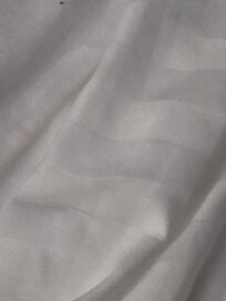 Small bed bugs underneath and onto of both queen beds