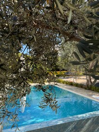 The pool was very appreciated