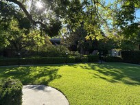 Walking paths and courtyard