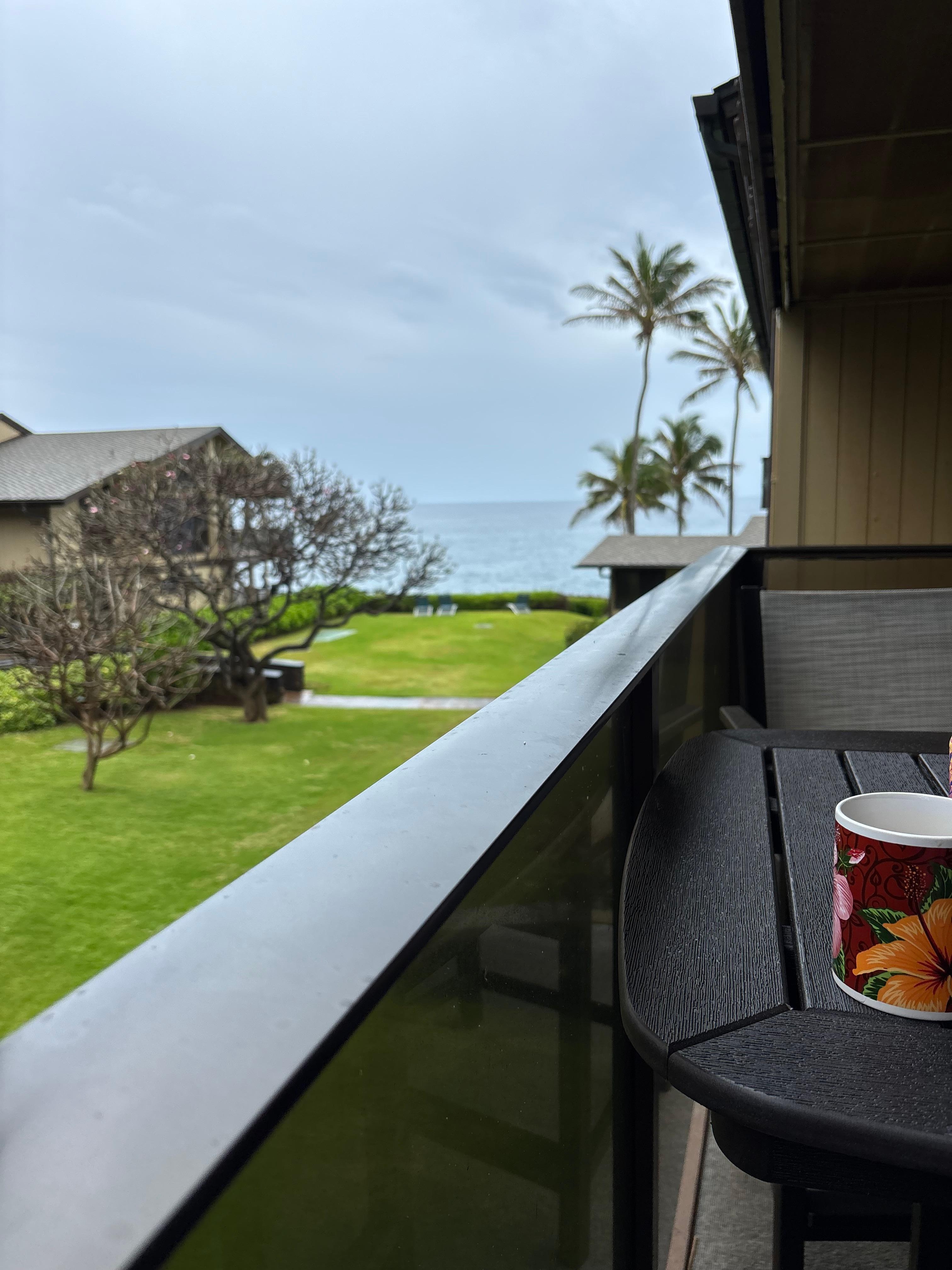 View from the lanai.