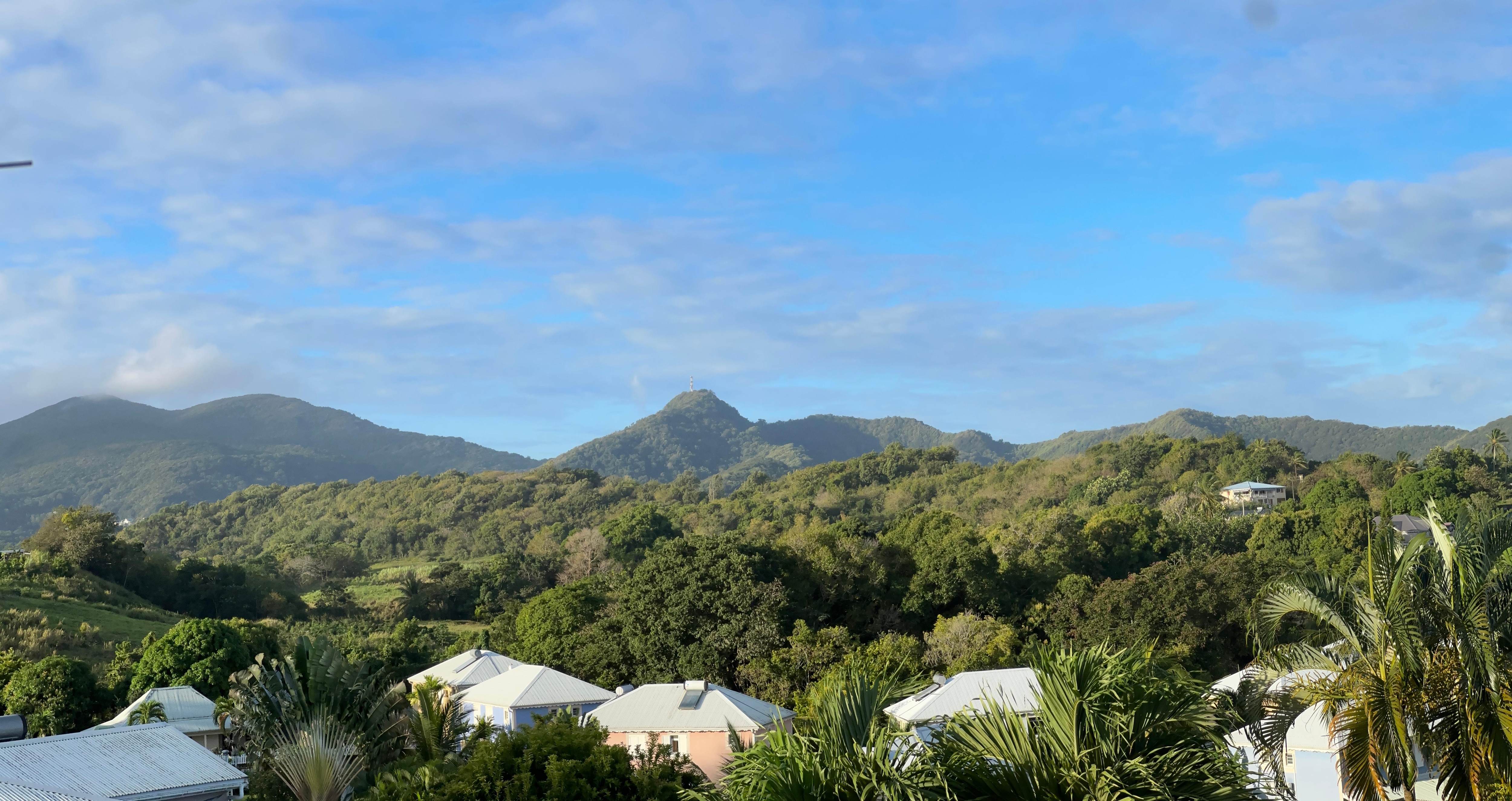 The view from the terrace