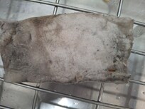 Mr. Clean sponge that we found in the sink as soon as we arrived.