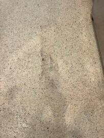 floor in kitchen when we checked in