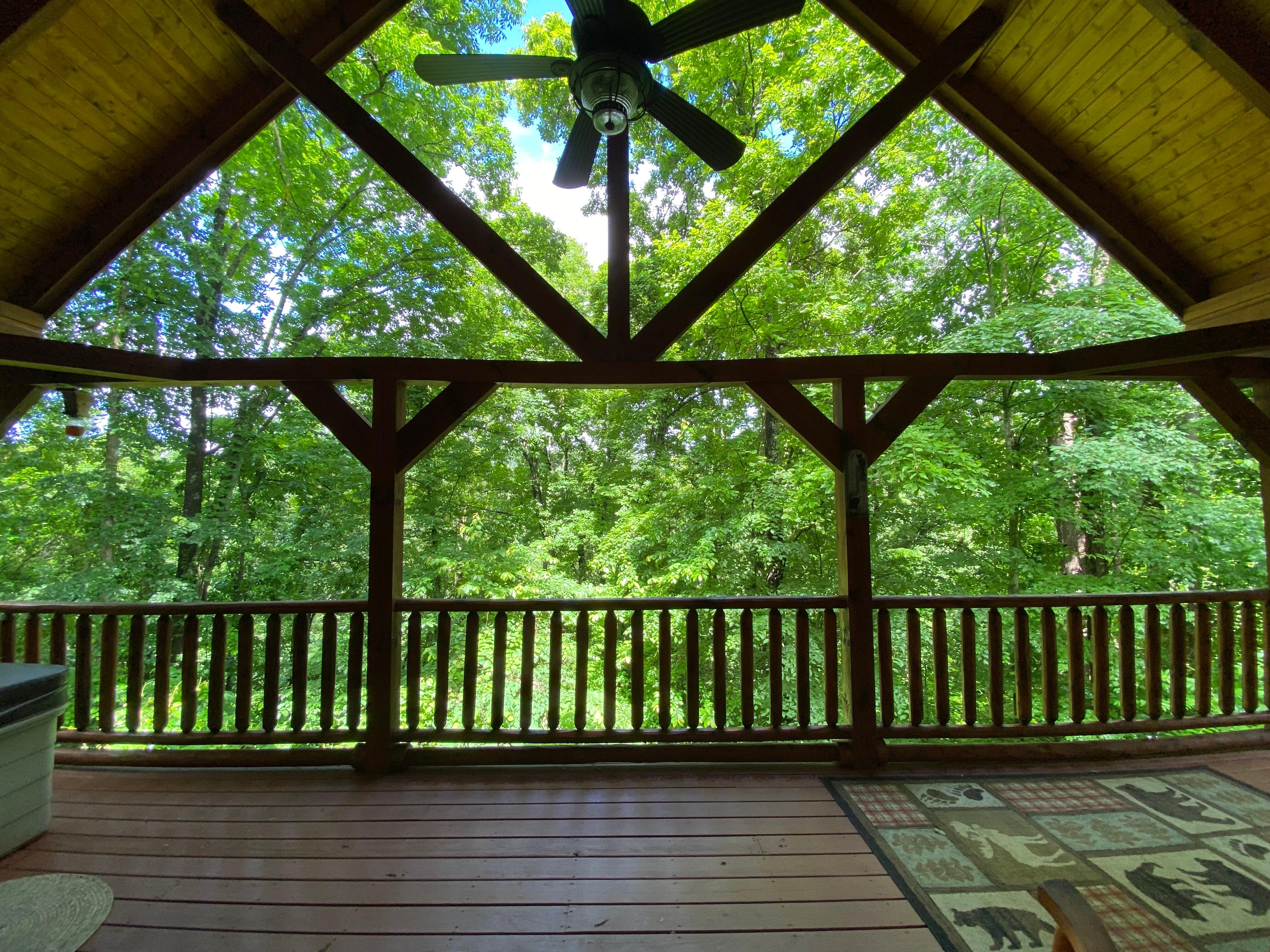 This is what I woke up to in the morning. Nothing better than this if you are a tree lover.