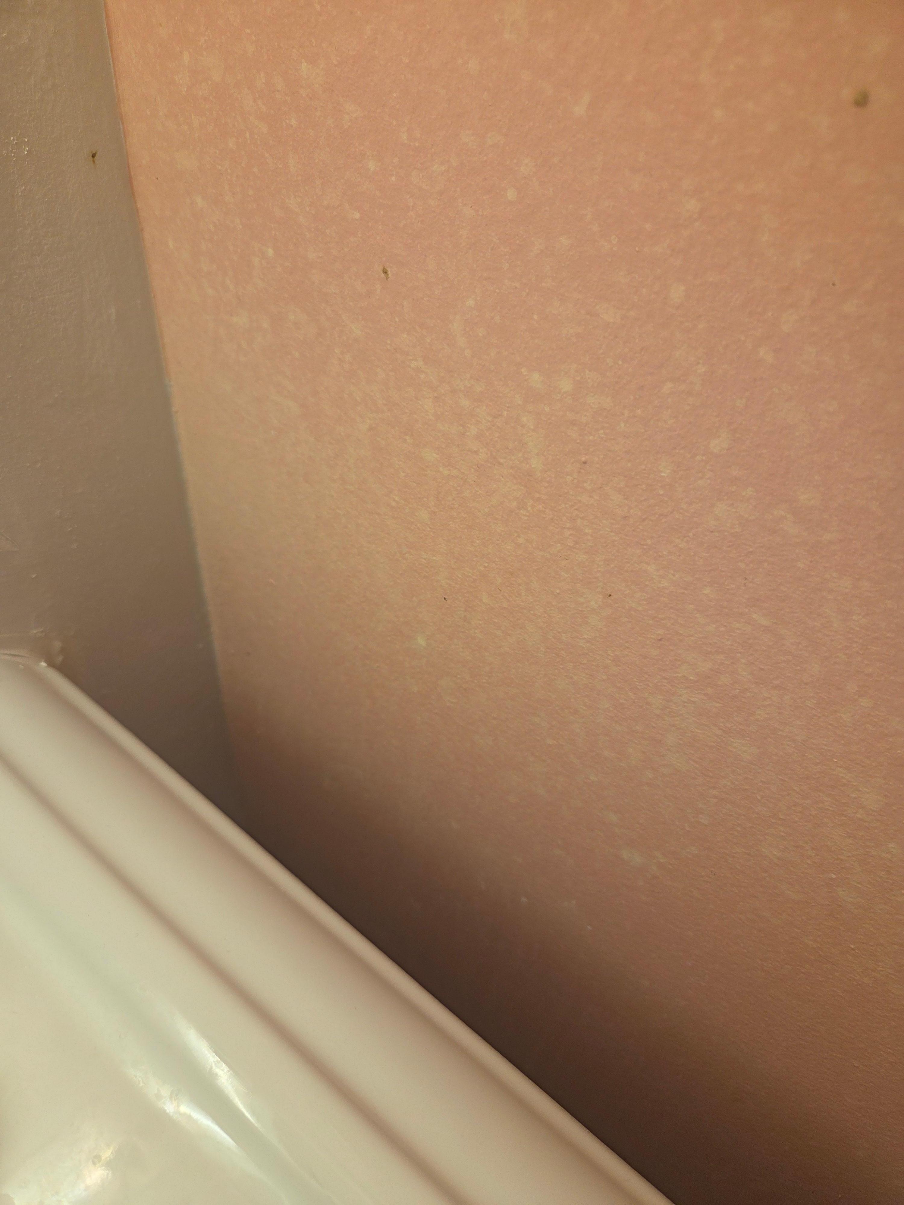 discolored and dirty walls