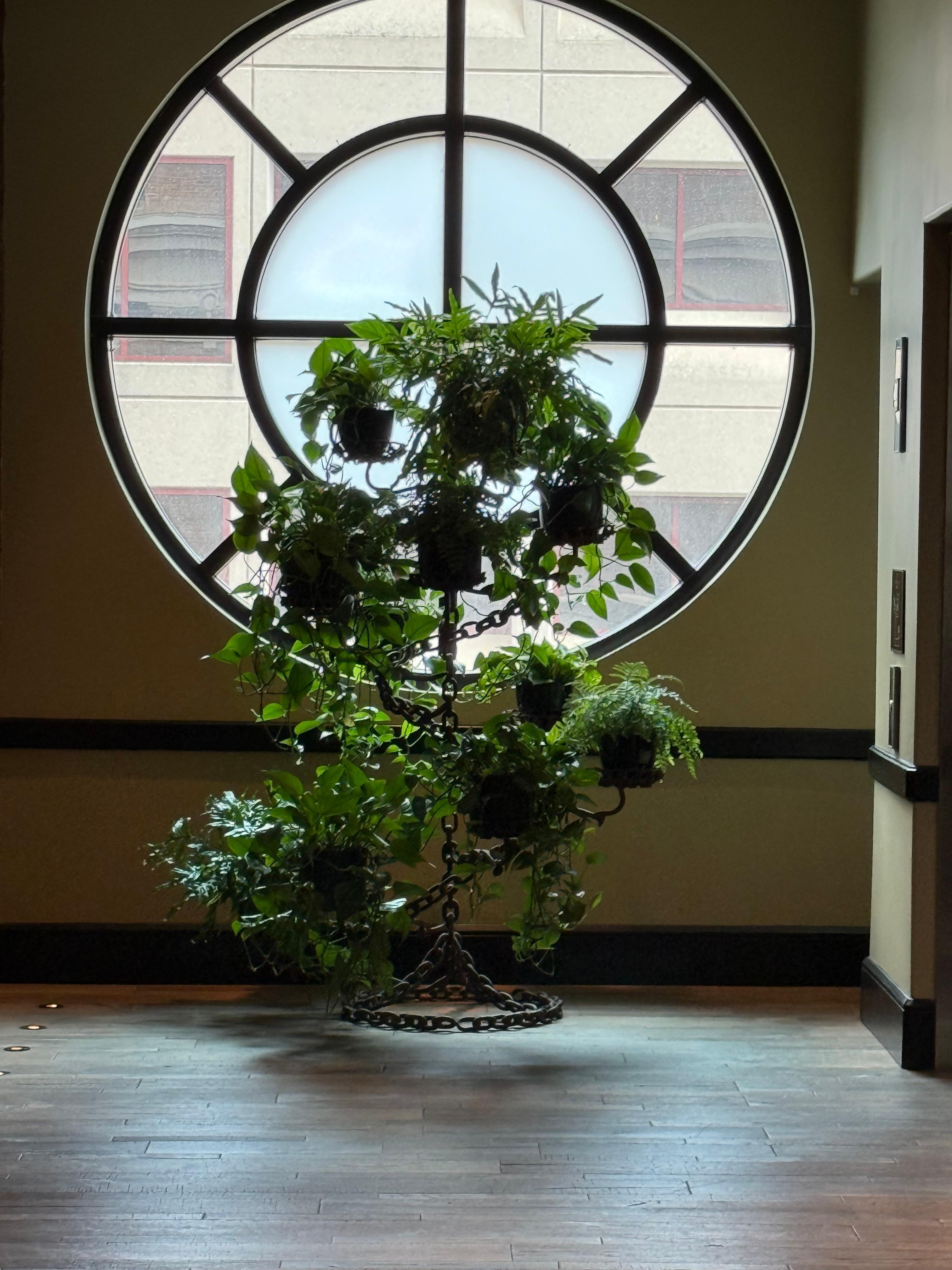 Such a cool vibe everywhere!