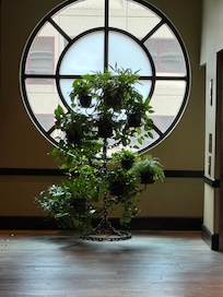 Such a cool vibe everywhere!