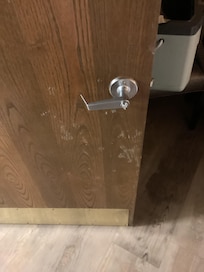 Mold on door