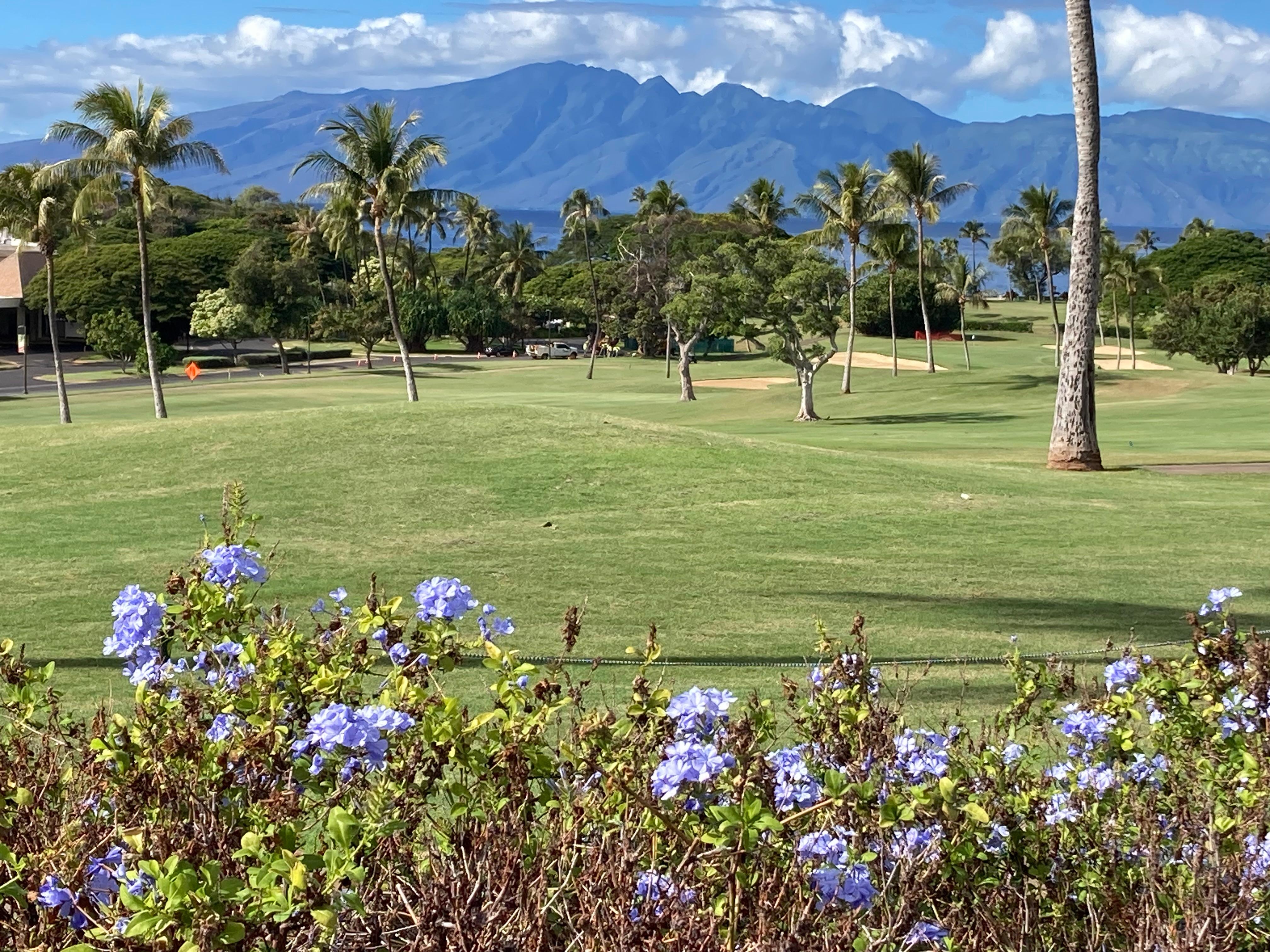 View walking to Whaler’s Village (5 min)