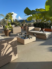 Der er mange duer på terrassen hvor der kan spises morgenmad