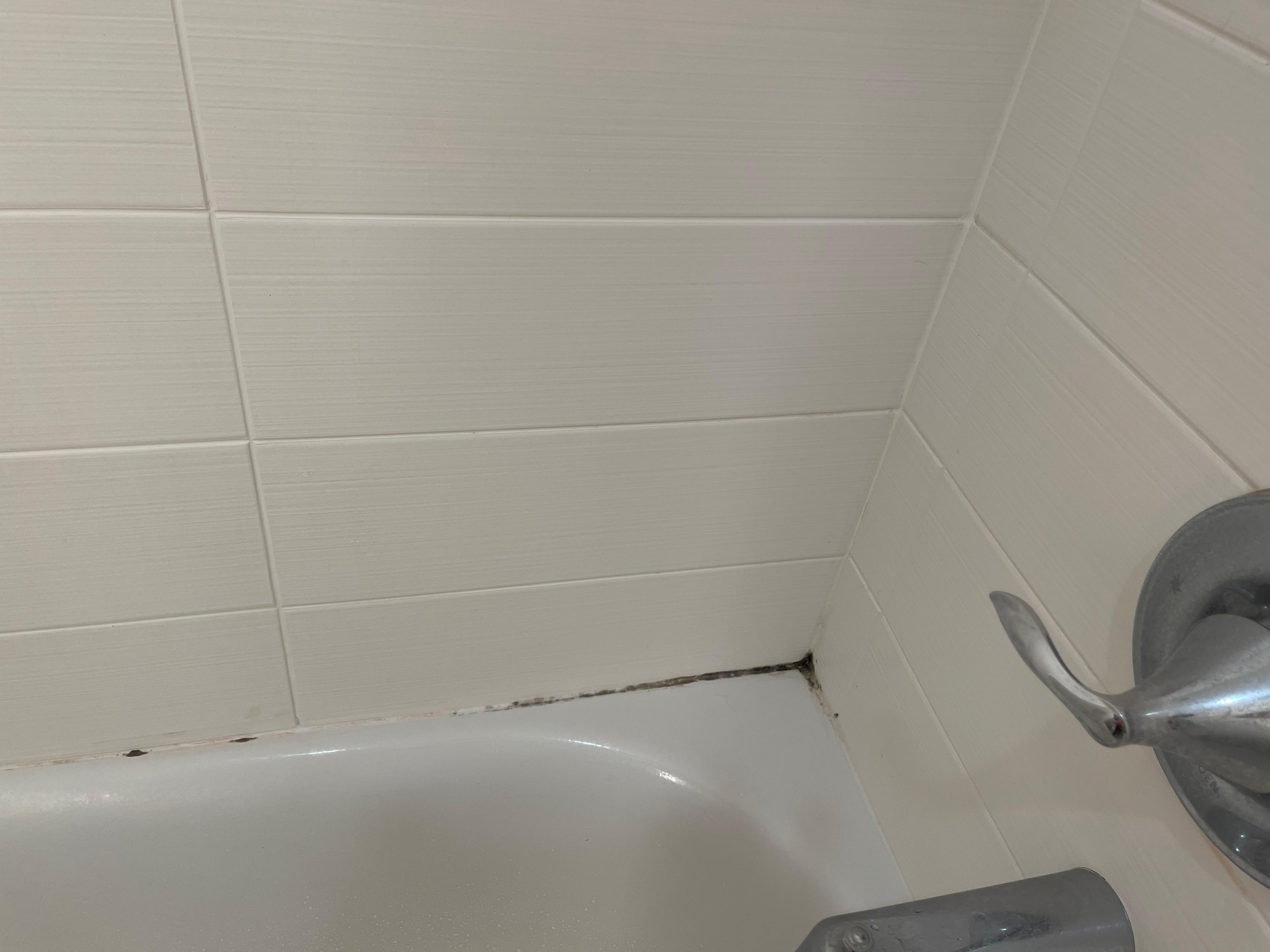 Tub grout very nasty