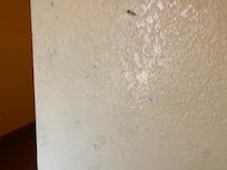Home in walls.