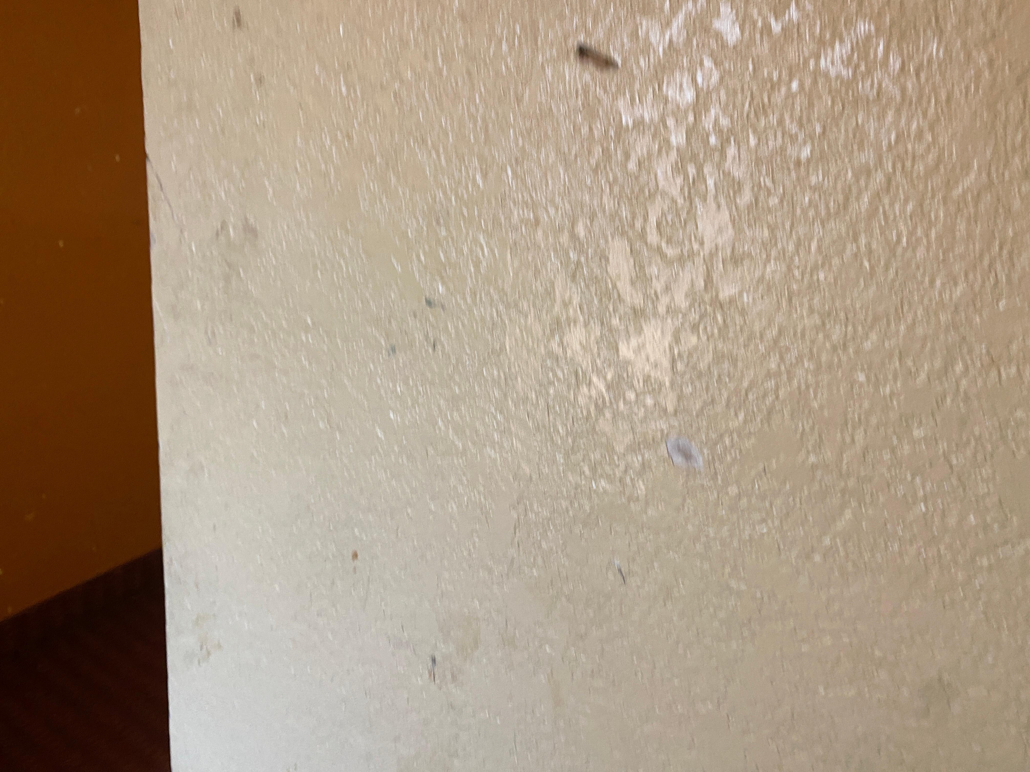 Home in walls.