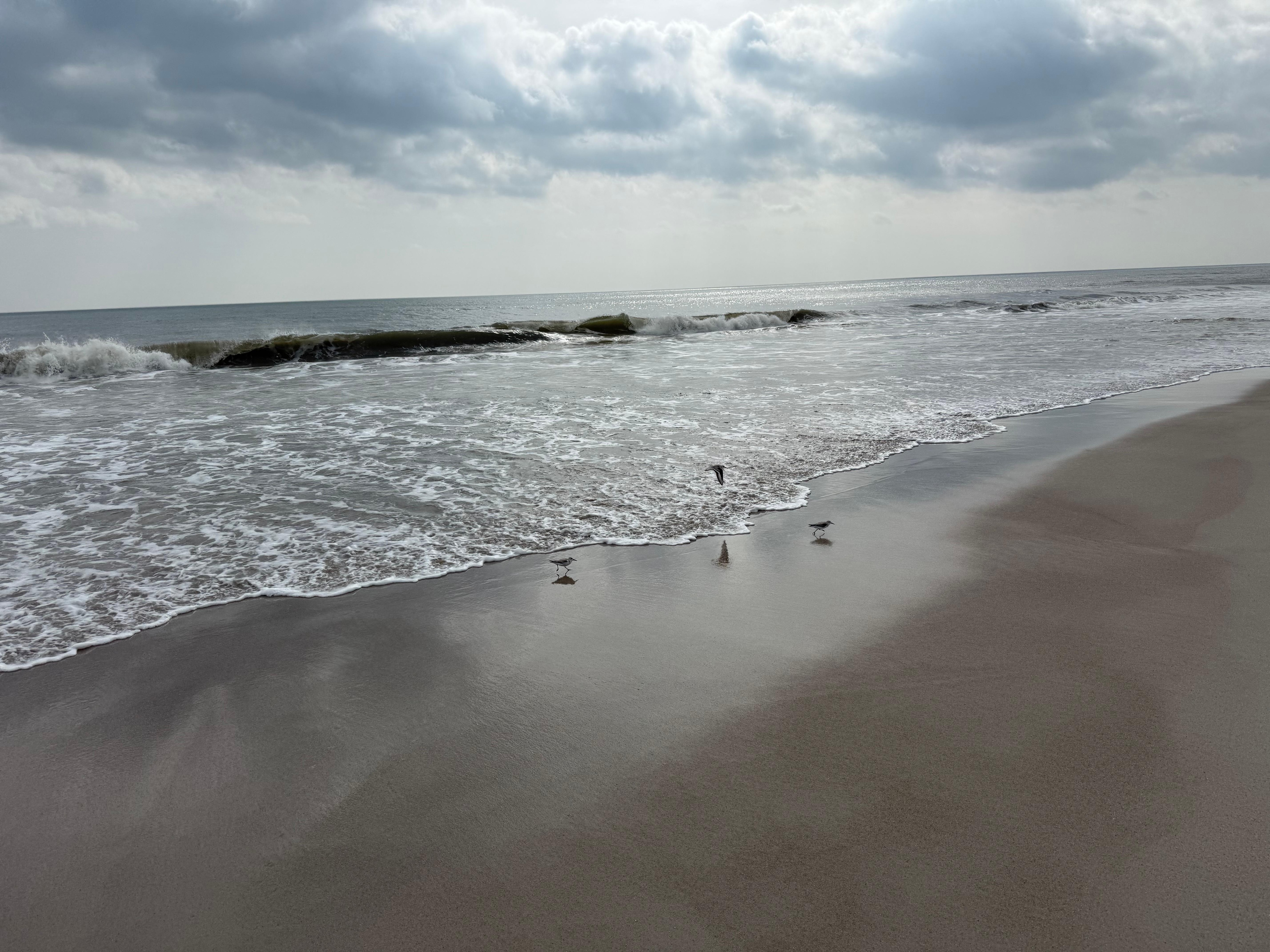 The coldest February in Amelia Island in over 20 years was still 30-40 degrees warmer than we left behind ❤️