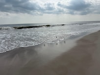 The coldest February in Amelia Island in over 20 years was still 30-40 degrees warmer than we left behind ❤️