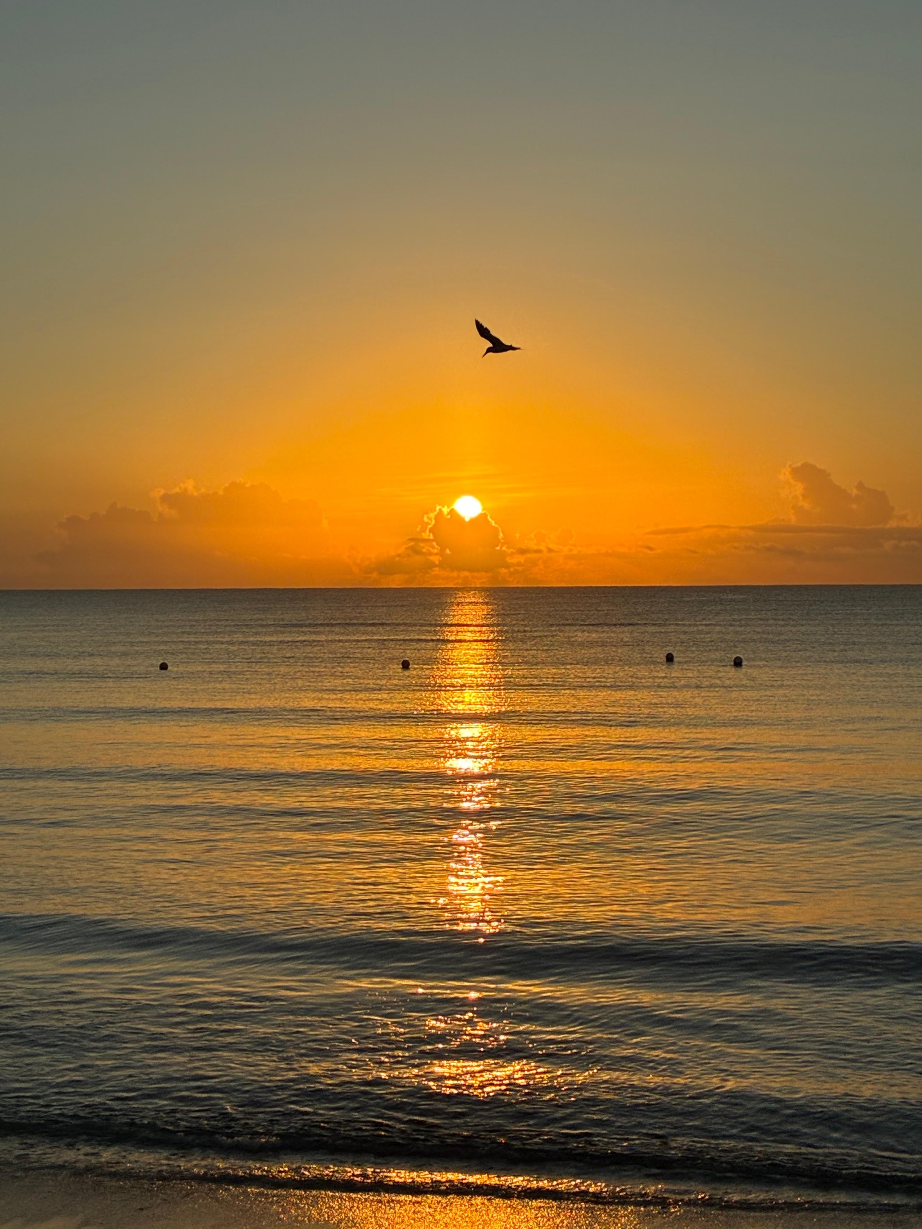 This was a beautiful sunshine 