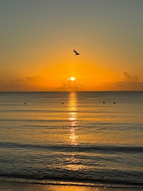 This was a beautiful sunshine