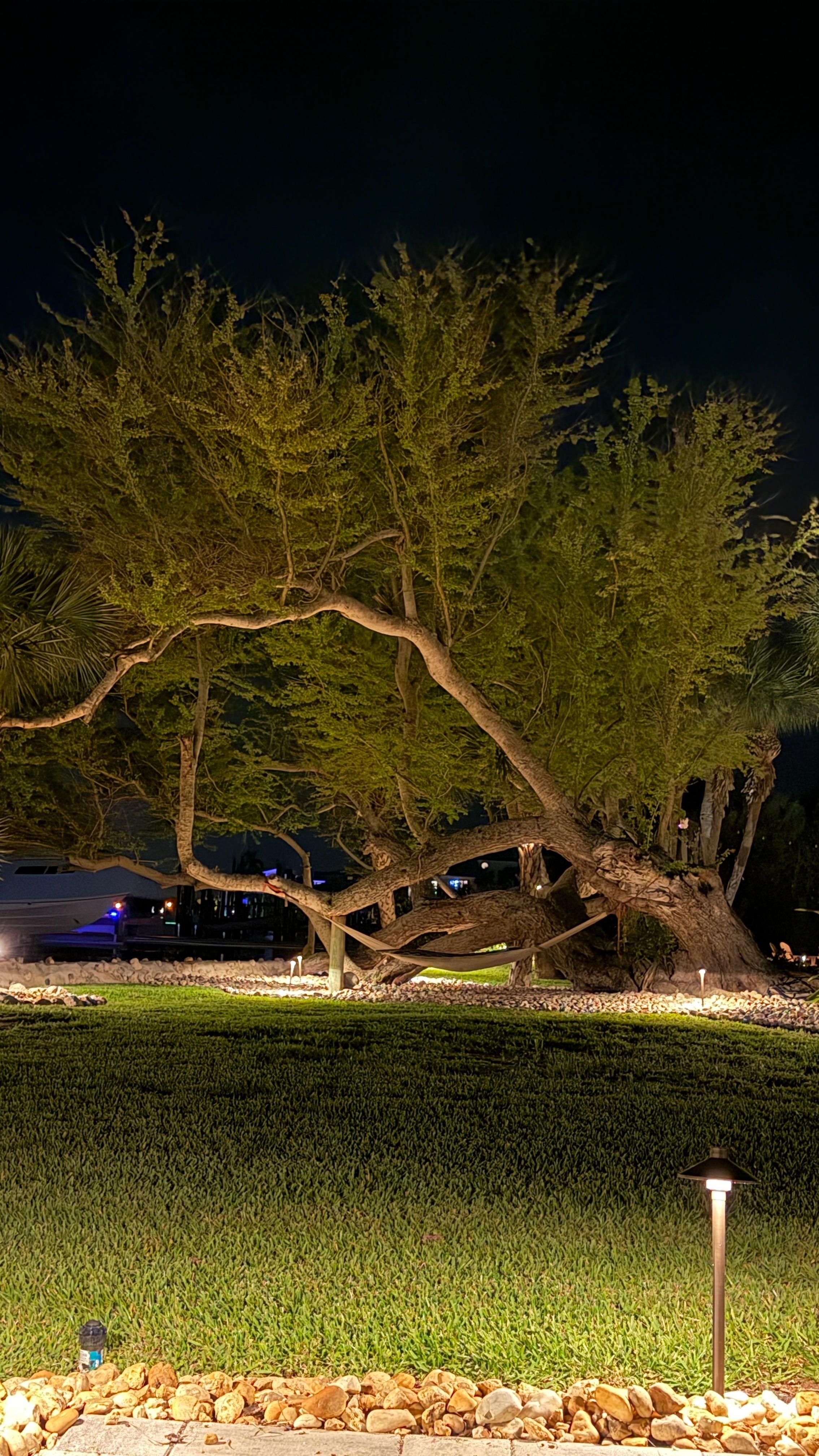 Nighttime on the property is enchanting 