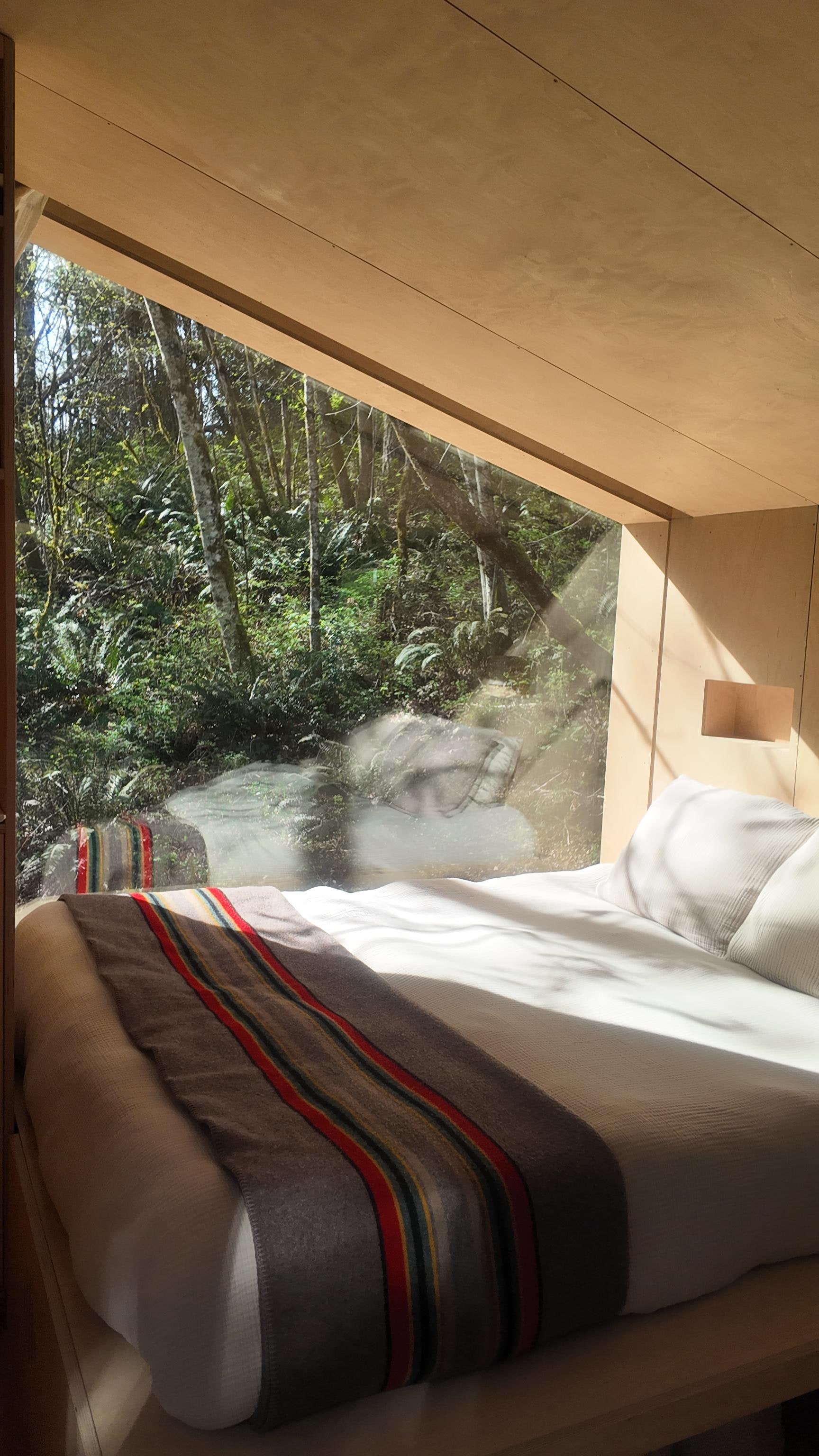 Comfortable bed and bedding!