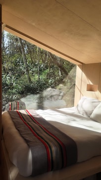 Comfortable bed and bedding!