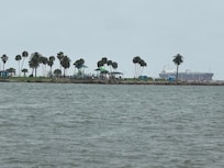 Pelican island