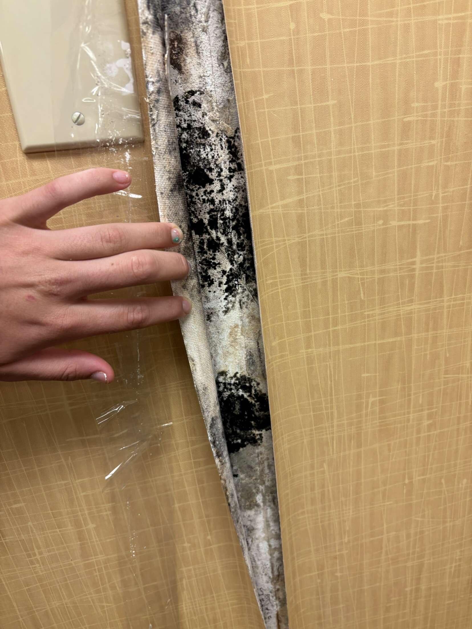 This is the black mold on the walls