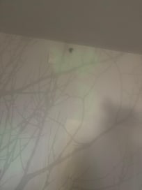 Discolored walls