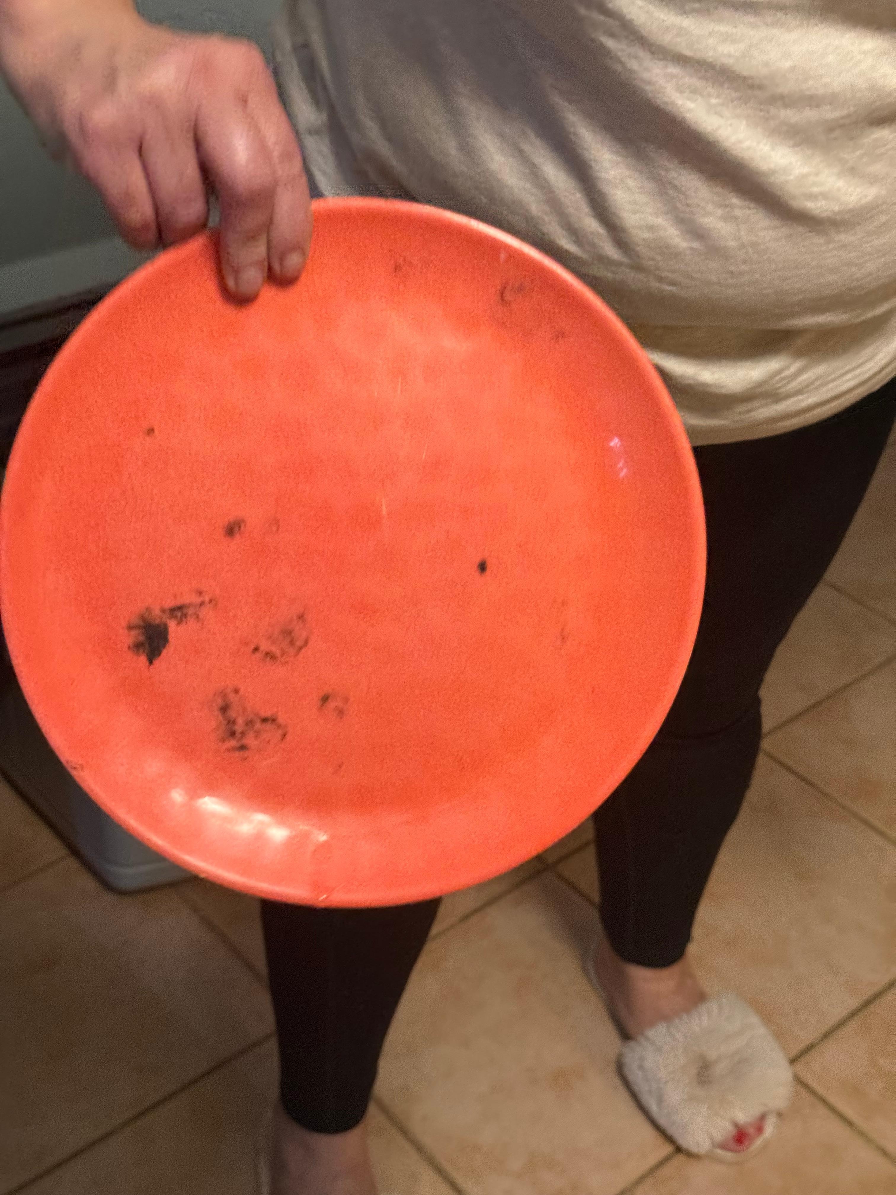 This plate was left in the sink completely dirty