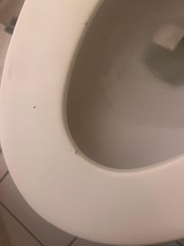 This was after we flushed it and weird stuff went down but this didn’t , trying to get stuff that was on the toilet