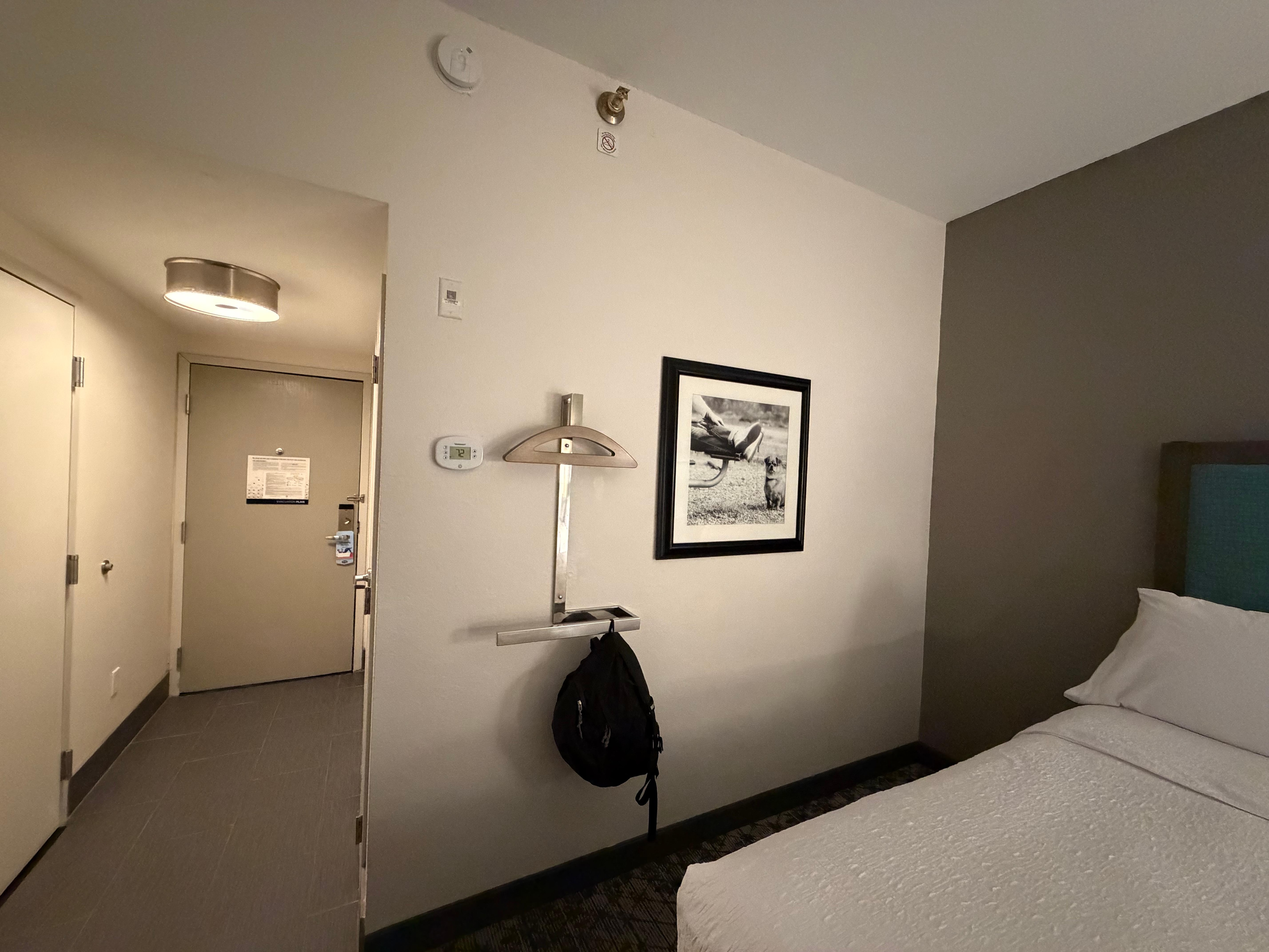 Loved the wall art 🐾 