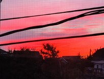 A sunset looking out from the living room window